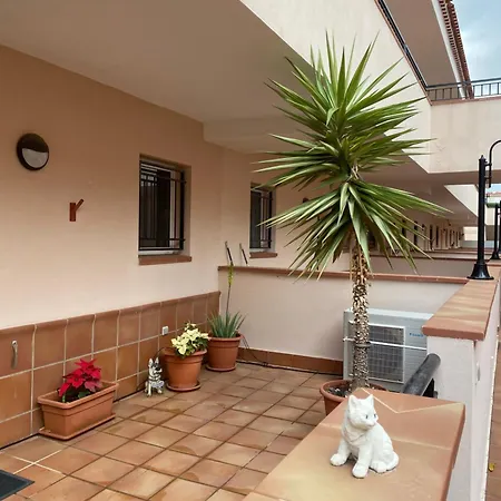 Terrace Sea View Apartment